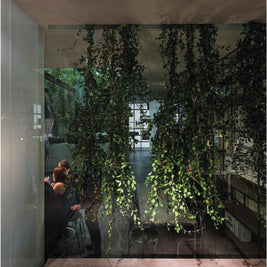 POIS 02007 Elesi Luce