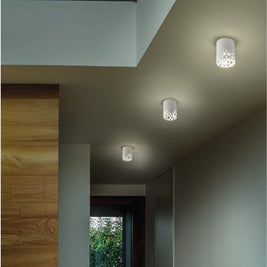 GAIA 04409 Elesi Luce
